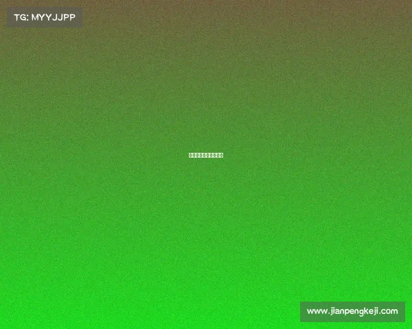 国内的搏击赛事有哪些